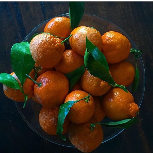 Meet your Posher, Jill - Picture 1 of 1